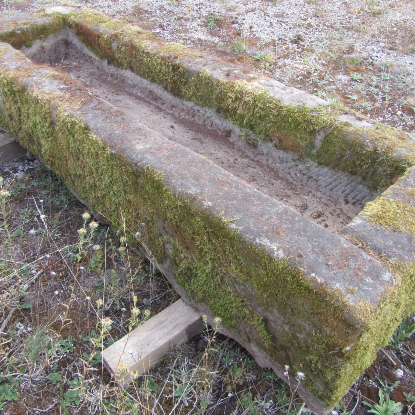 Ancient, Antique French Stone Troughs